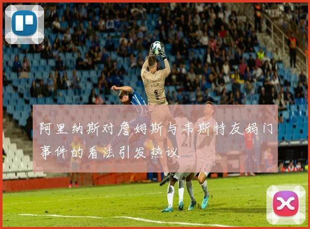 阿里纳斯对詹姆斯与韦斯特友妈门事件的看法引发热议