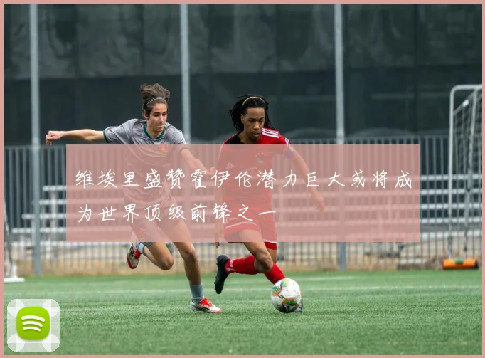 维埃里盛赞霍伊伦潜力巨大或将成为世界顶级前锋之一