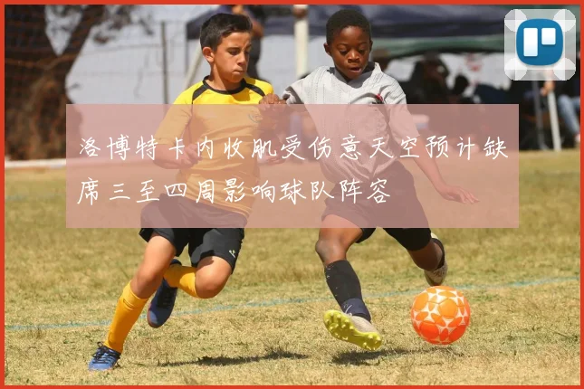洛博特卡内收肌受伤意天空预计缺席三至四周影响球队阵容